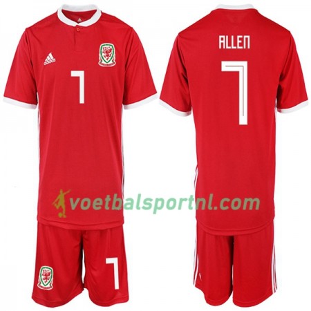 Wales ALLEN 7 Kind Thuis Tenue 2018-19